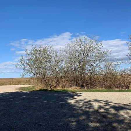 6 Person In Hemmet-by Traum