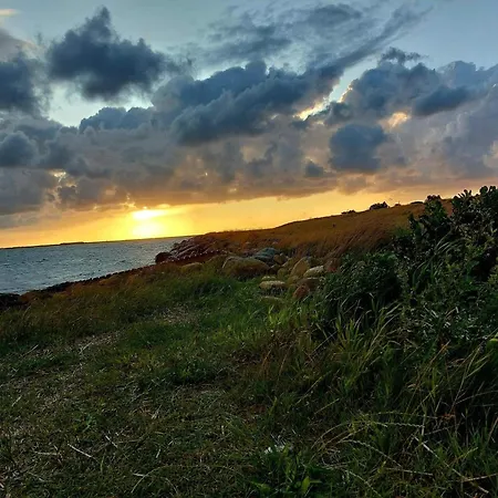 Vakantiehuis 6 Person In Hemmet-by Traum